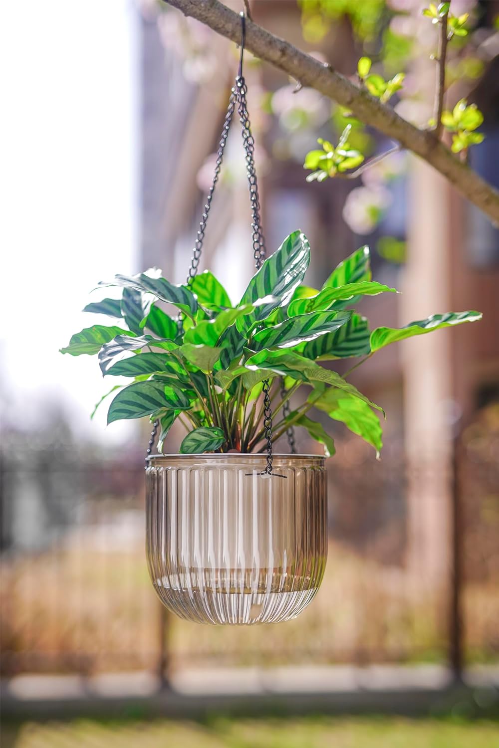 Elegant 2 Pack Self-Watering Hanging Planters - 6.5 Inch Indoor/Outdoor Flower Pots with Drainage Holes and 3 Hooks in Emerald and Gray